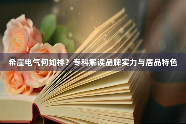 希崖电气何如样？专科解读品牌实力与居品特色